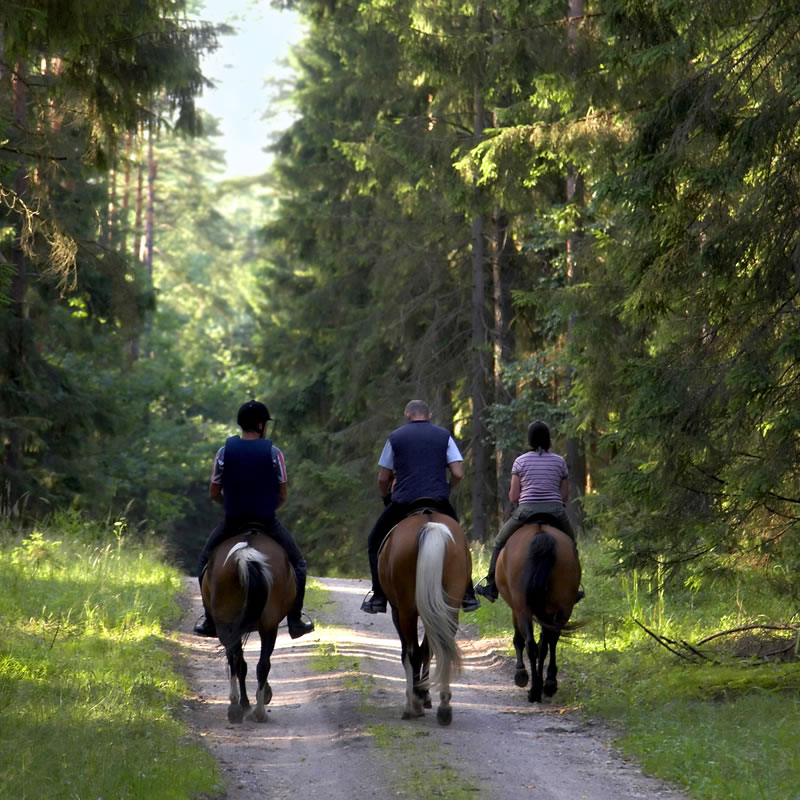 horse-riding horse-riding