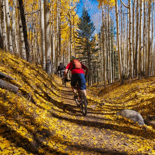 RR_fall_biking RR_fall_biking